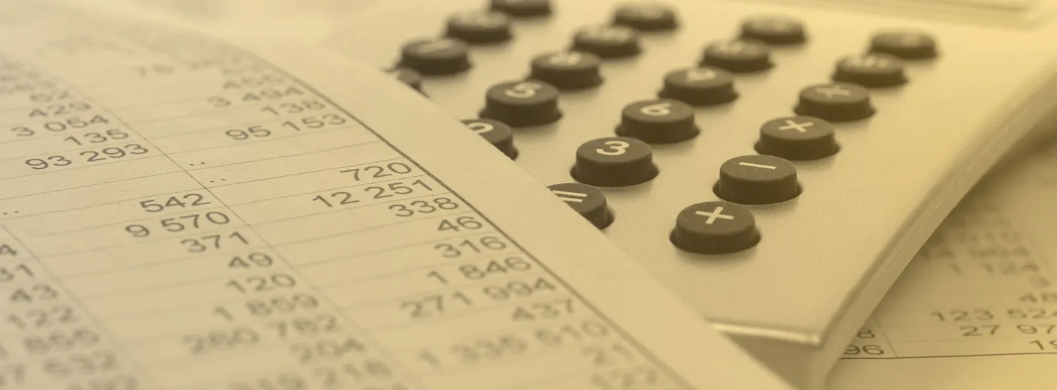 Accounting & Finance Chronological Resume Examples