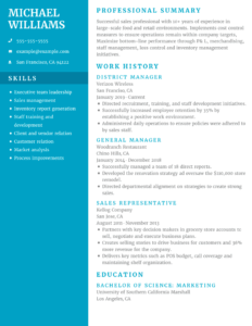 Resume example using Empire template with blue side bar.