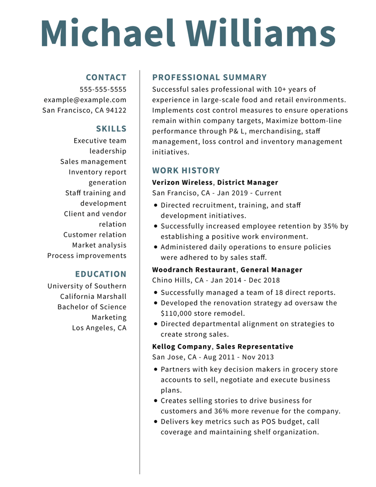 Professor CV Examples