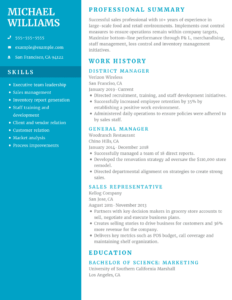 Resume example using Revival template with blue side bar