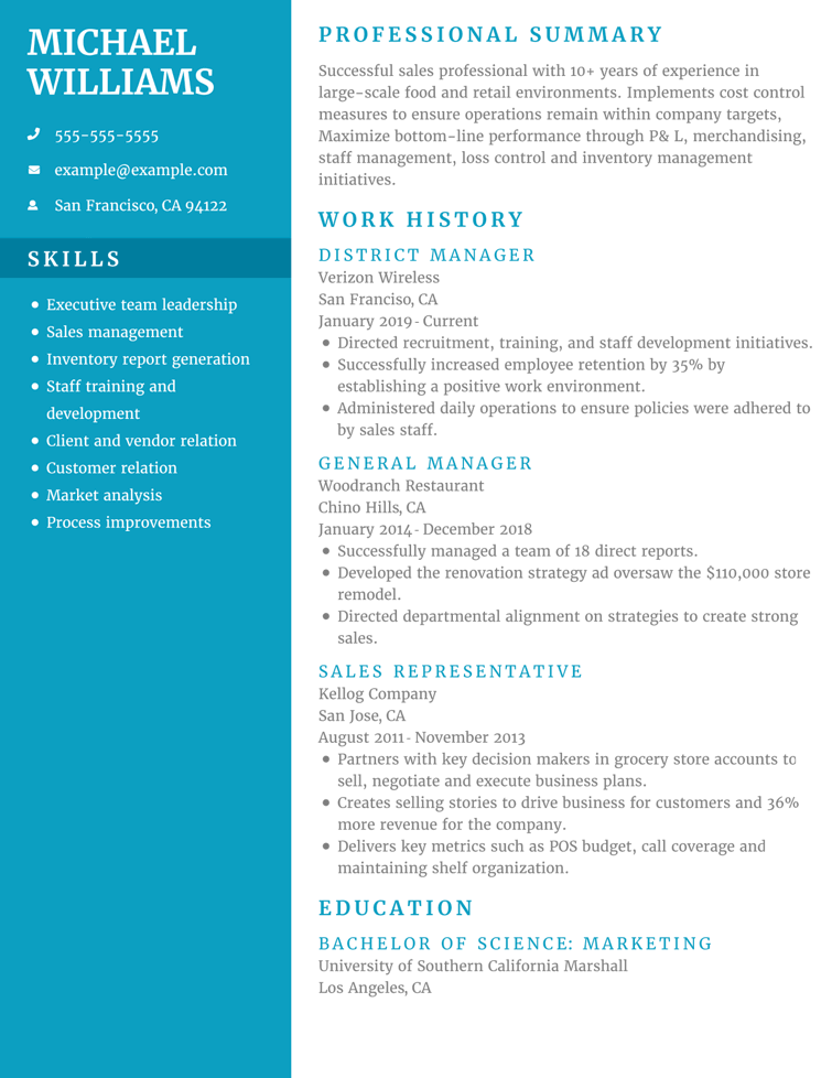 Professor CV Examples