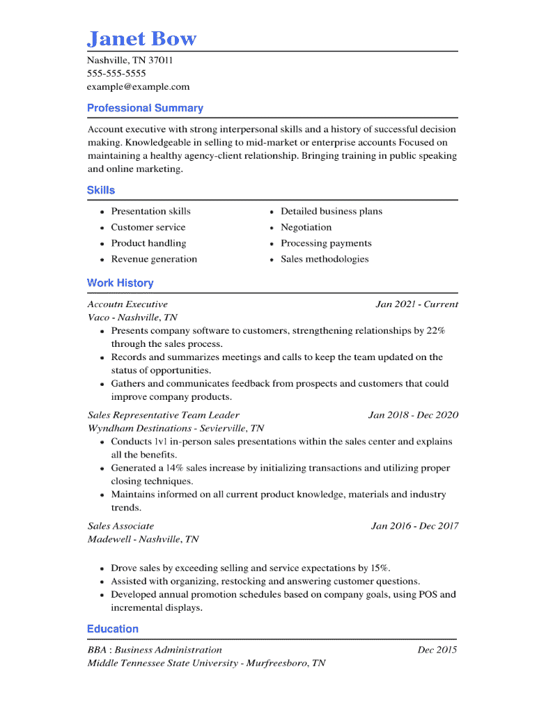 Account Executive Resume Example