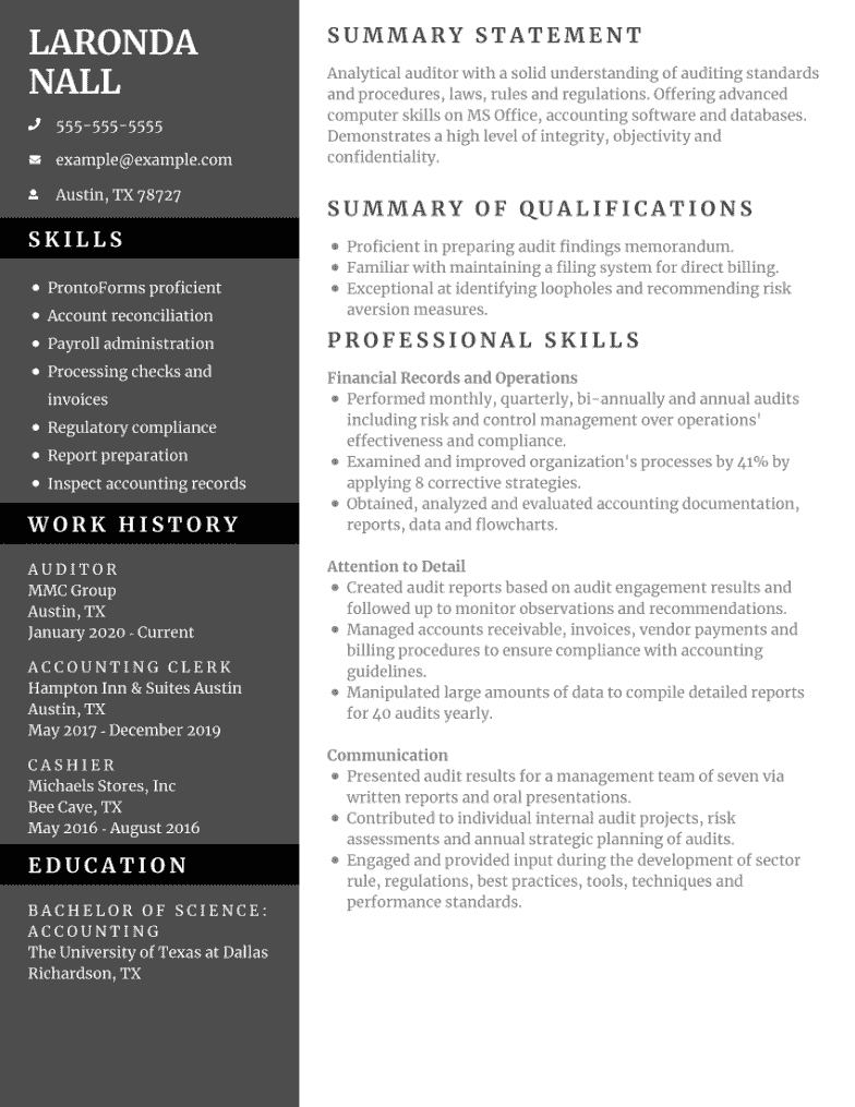Best Auditor Resume Examples For 2024