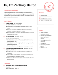 Car Salesman Resume Examples Job Description Skills