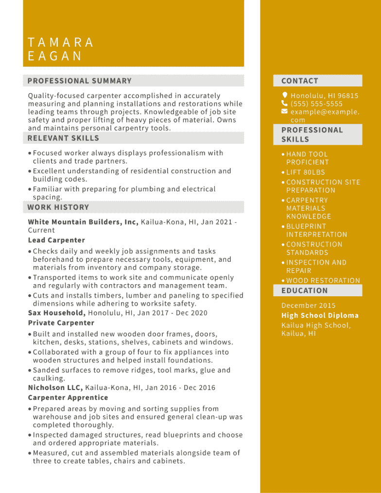 Carpenter Resume Example