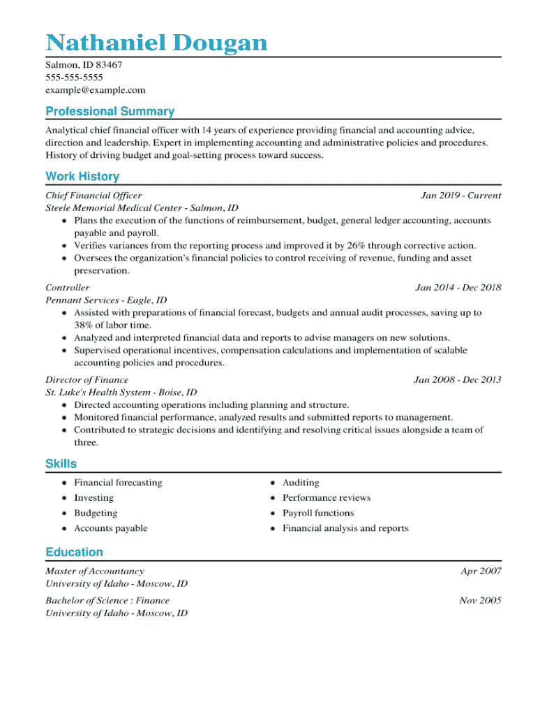CFO Resume Example