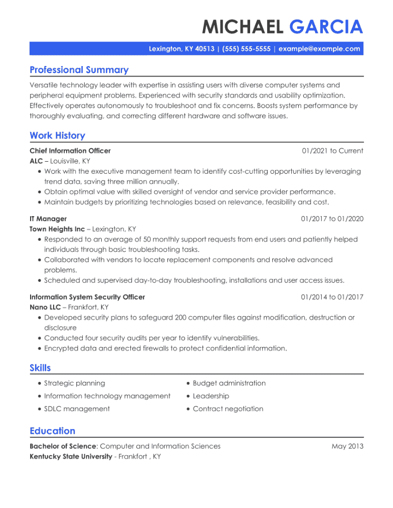 CIO Resume Example