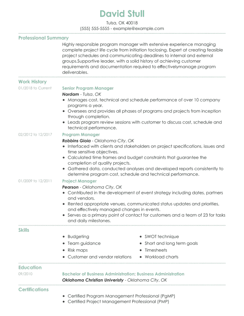 Program Manager Resume Example