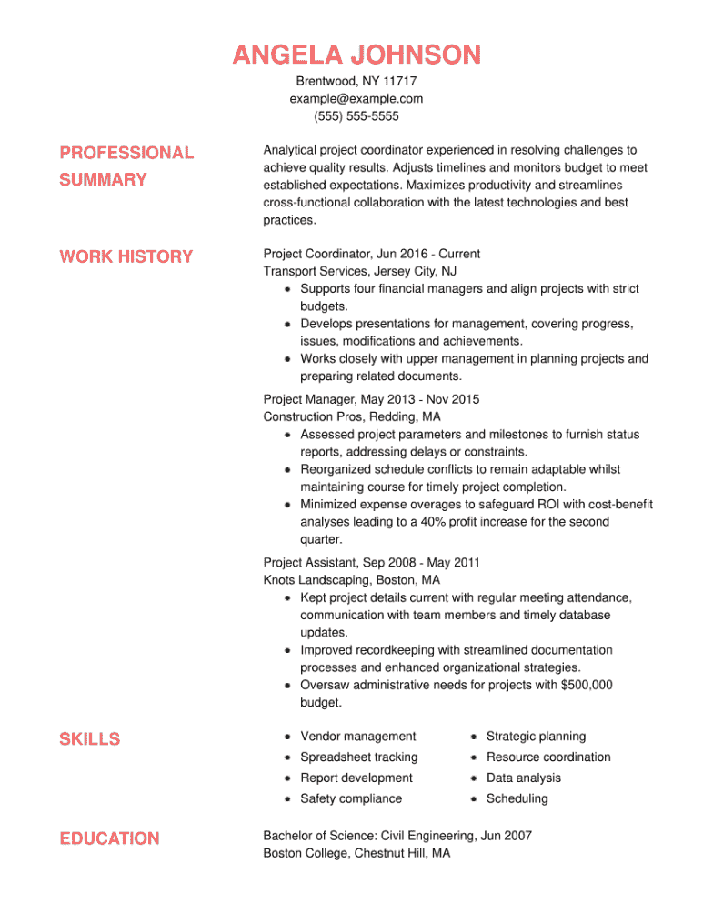 Project Coordinator Resume Example
