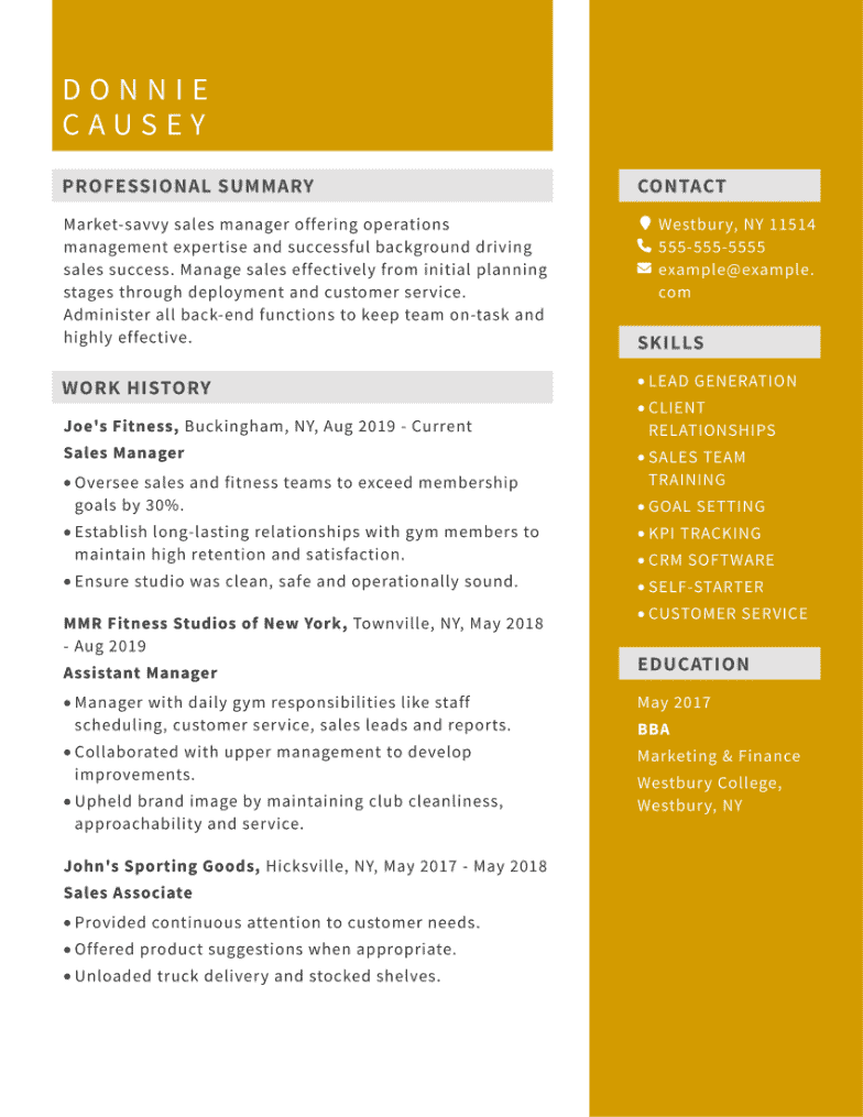 sales manager resume example