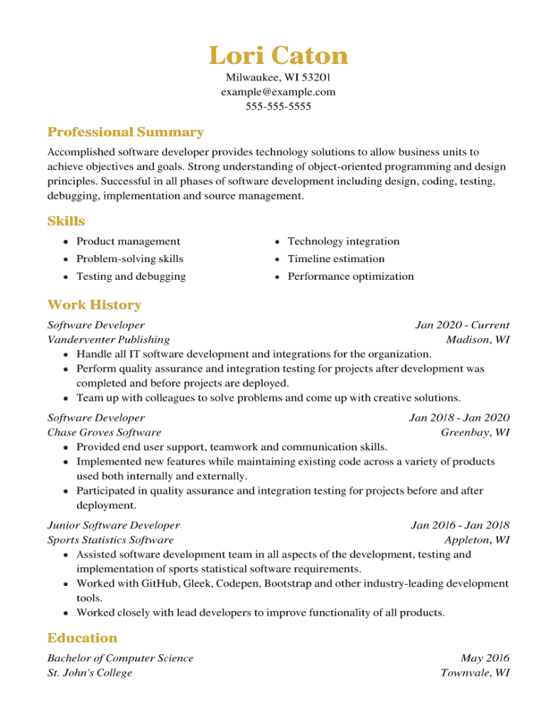 Software Developer Resume Example