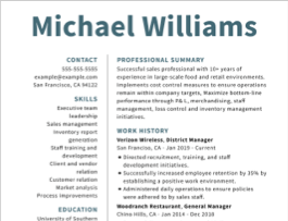 District Manager Resume Example