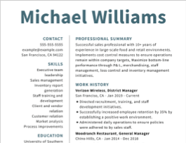 Hollywood template with resume objective section example.
