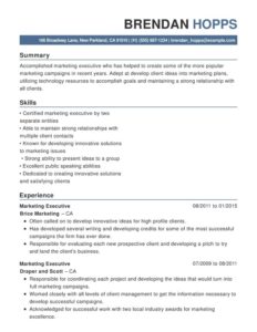 Graphic Designer CV example with contact info in blue bar under applicant name.