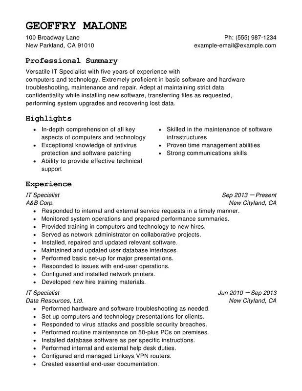 curriculum vitae template