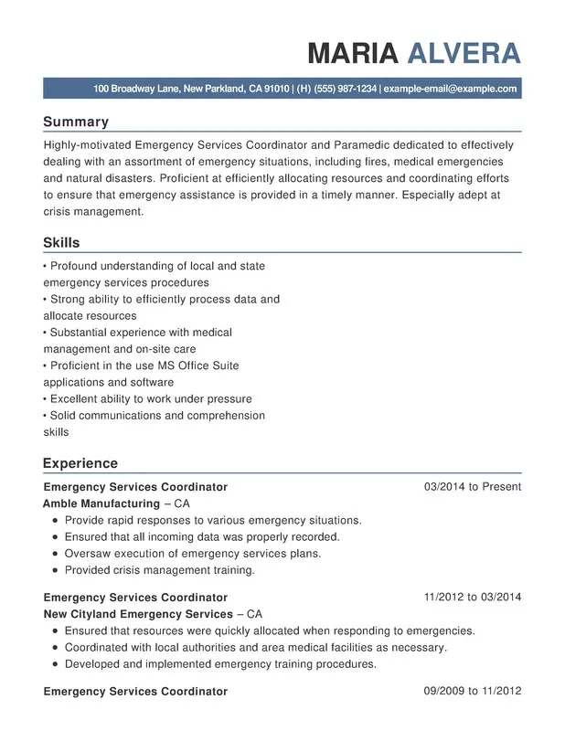 CV builder