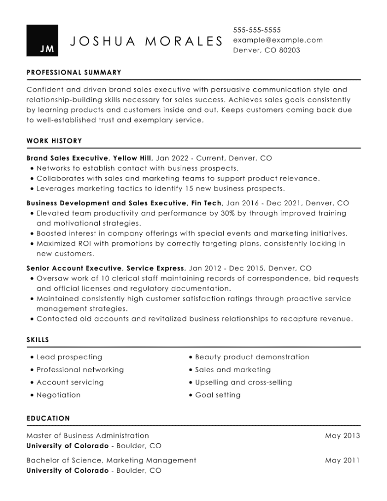 Executive resume example