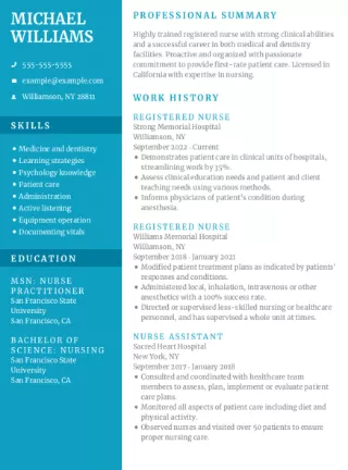 Creative resume builder Revival template with blue colored left panel.