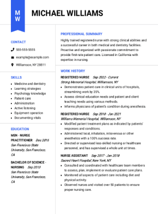 Blueprint resume formats example with blue color header flourish.