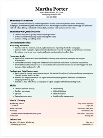 Functional resume formats example with color sections.