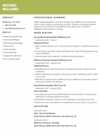 Resume Template Vision
