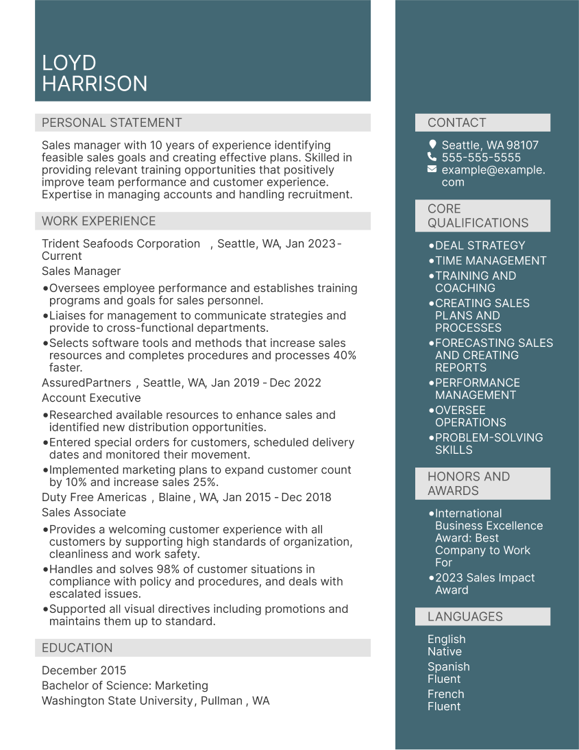 CV Formats Example
