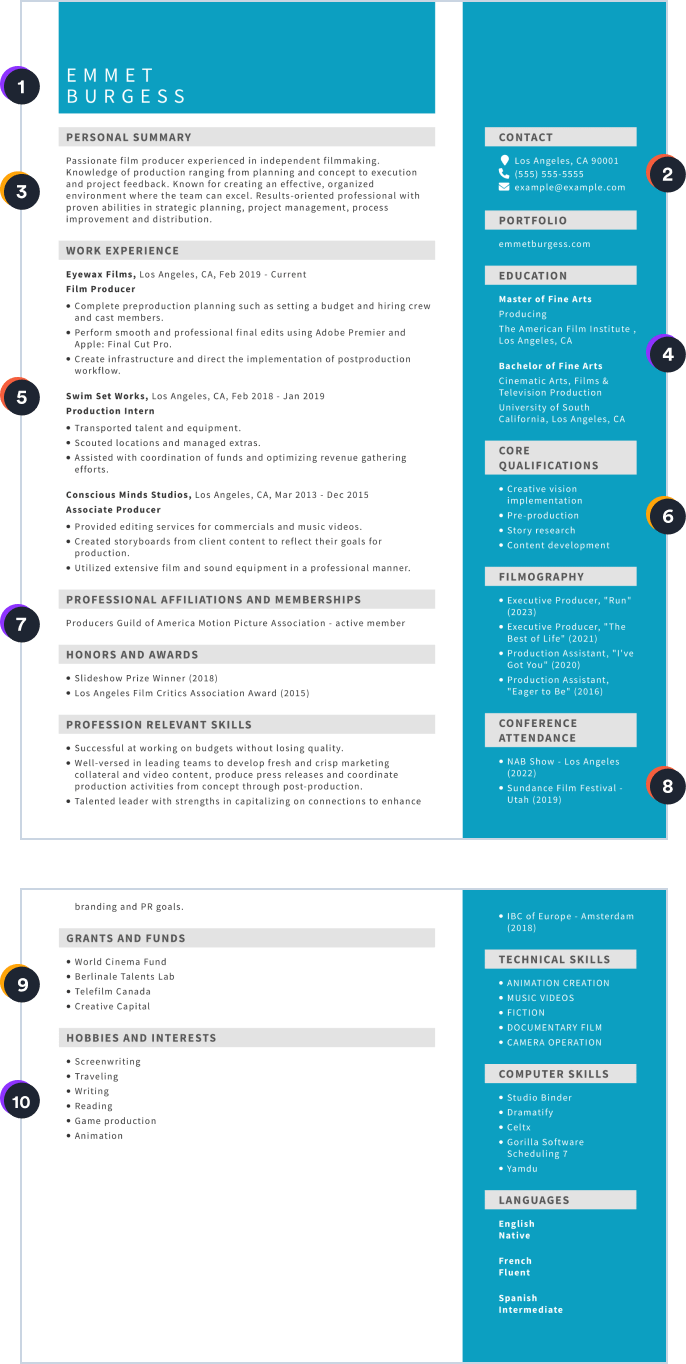 cv template infographic desktop